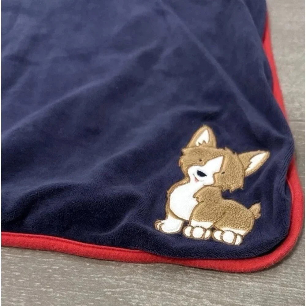 Gymboree excellent blanket